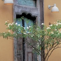 Louis Poulsen Toldbod 290 led outdoor wall lamp