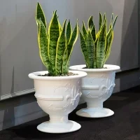 Slide vaso Pot of Love