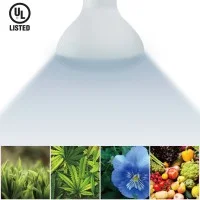 Daylight Italia GROWING LED Bulb Plant Green BR30 100-240V E27