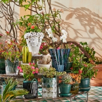 Kartell Shanghai decorative vase