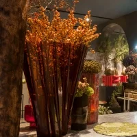 Kartell Shanghai vaso decorativo