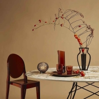 Kartell Victoria Ghost chair