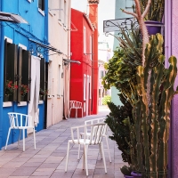 Kartell Venice chair