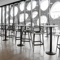 Kartell sgabello Masters Stool 75