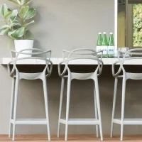 Kartell sgabello Masters Stool 75