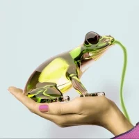 Qeeboo Hungry Frog lampada da tavolo Qeeboo Hungry Frog lampada da tavolo