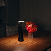 Zafferano DAMA Pro LED Battery Table Lamp