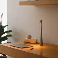 Vibia Africa 5580 battery lamp