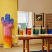 Gufram Sunrise Cactus coat hanger Limited Edition Gufram Sunrise Cactus coat hanger Limited Edition