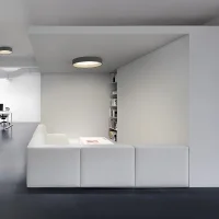 copy of Vibia Africa 5585 battery lamp