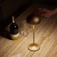 copy of iGuzzini Clan led table or floor lamp