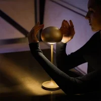copy of iGuzzini Clan led table or floor lamp