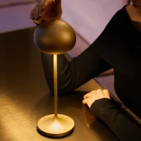 copy of iGuzzini Clan led table or floor lamp