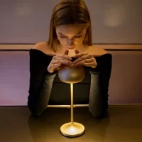 copy of iGuzzini Clan led table or floor lamp