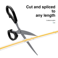 Striscia LED 5M COB 11W/m 24V a luce continua