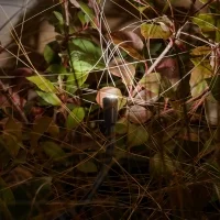 Linea Light Blum triple outdoor led bollard