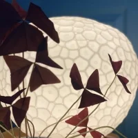Artemide Meteorite Table Lamp With Stem led Dimmable