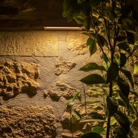 Luce & Light Ella applique da esterno led
