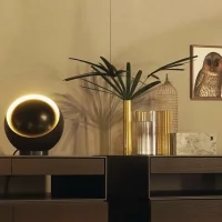 Oluce Eva Lampada Sferica a led da Tavolo Regolabile