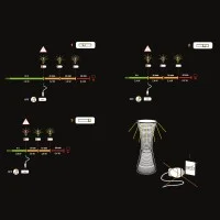 Artemide Come Together Portable Rechargeable Lamp LED 3.6W