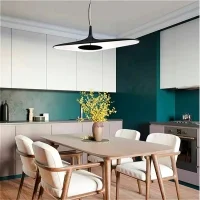 Luceplan Soleil Noir lampada a sospensione led