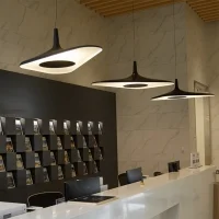 Luceplan Soleil Noir lampada a sospensione led