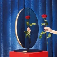 Artemide Se|eS mirror led floor and table lamp
