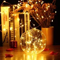 New lamps Copper Wire string lights in 240V with 300 micro LED