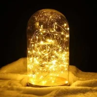 New lamps Filo luminoso in rame a 240V con 300 nano LED 30m New lamps Filo luminoso in rame a 240V con 300 nano LED 30m
