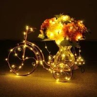 New lamps Copper Wire string lights in 240V with 300 micro LED