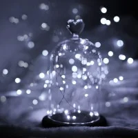 New lamps Copper Wire string lights in 240V with 300 micro LED