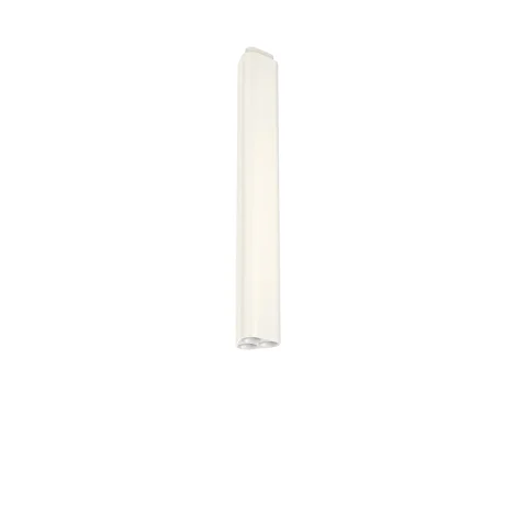 Flos Emi Ceiling Small H540 lamp