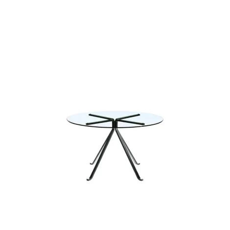 Driade Cuginetto coffee table