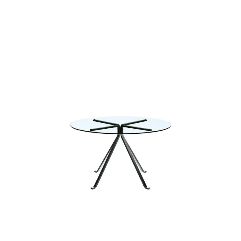 Driade Cuginetto coffee table