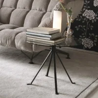 Driade Cuginetto coffee table
