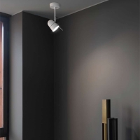 Luceplan Counterbalance Spot led wall ceiling lamp