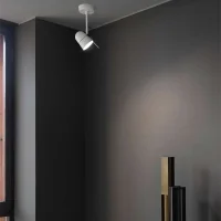 Luceplan Counterbalance Spot led wall ceiling lamp Luceplan Counterbalance Spot led wall ceiling lamp