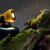 Martinelli Luce Minifrog outdoor led spotlight