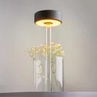 Maytoni AI Collaboration battery-powered led lamp with vase