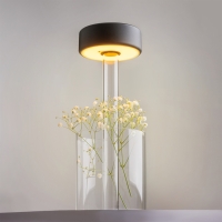 Maytoni AI Collaboration lampada a batteria led con vaso