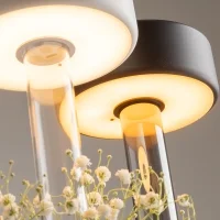 Maytoni AI Collaboration battery-powered led lamp with vase