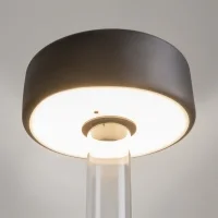 Maytoni AI Collaboration battery-powered led lamp with vase