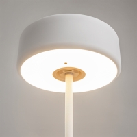 Maytoni AI Collaboration battery-powered led lamp
