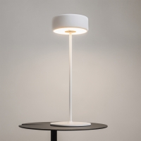 Maytoni AI Collaboration battery-powered led lamp