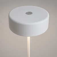 Maytoni AI Collaboration battery-powered led lamp
