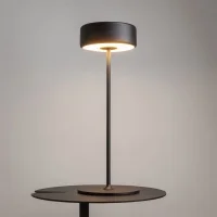 Maytoni AI Collaboration battery-powered led lamp