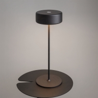 Maytoni AI Collaboration battery-powered led lamp