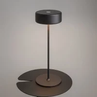 Maytoni AI Collaboration battery-powered led lamp