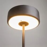 Maytoni AI Collaboration battery-powered led lamp
