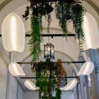 Slide Banana Leaf suspension